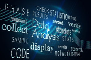 博拉網(wǎng)絡(luò)獲上交所問(wèn)詢 大數(shù)據(jù)服務(wù)提供商的前路與挑戰(zhàn)