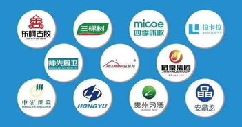 如何在眾多大數(shù)據(jù)營(yíng)銷公司中慧眼識(shí)珠？選擇靠譜服務(wù)商的全面指南